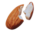 Cup Image